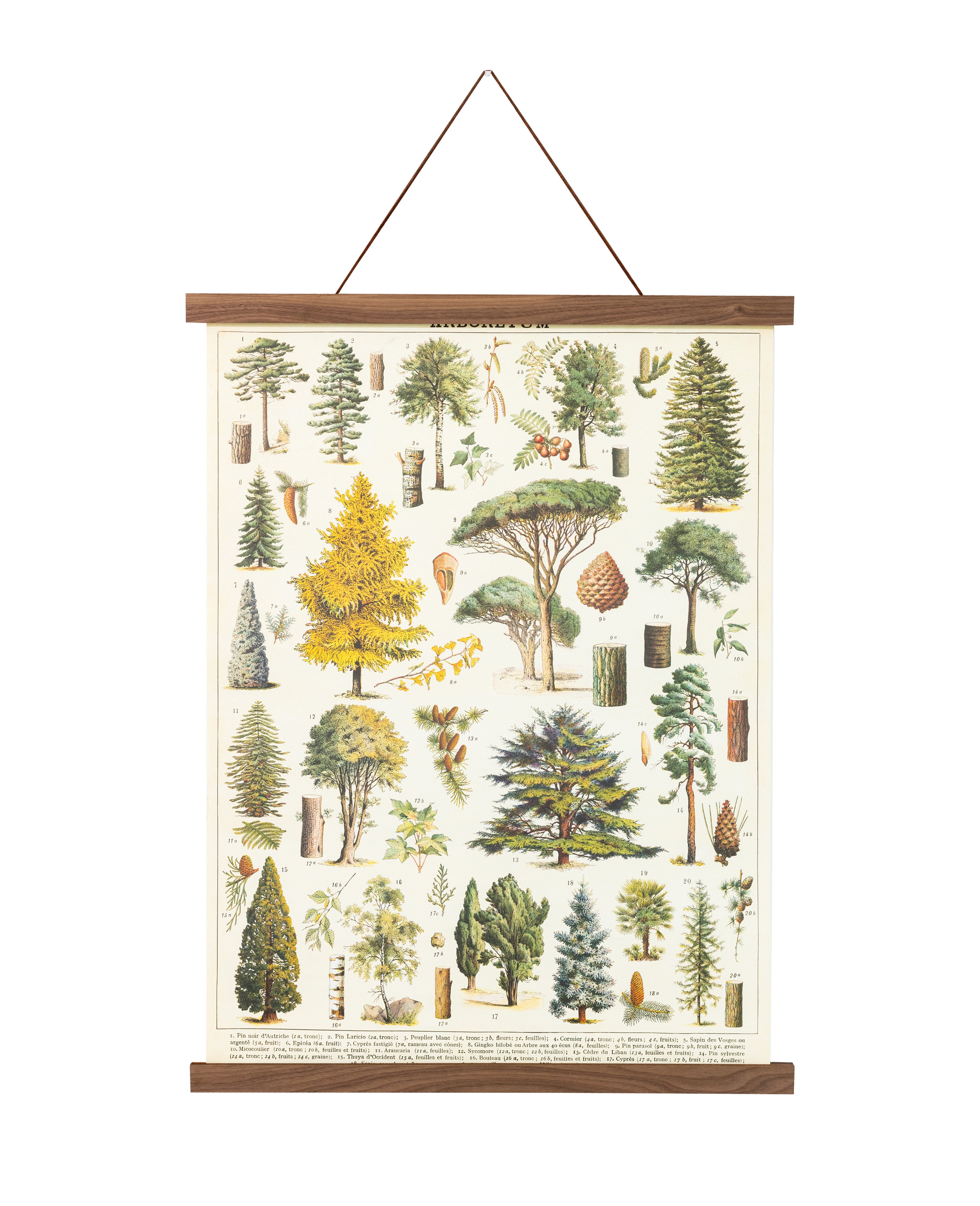 Wooden Poster Hanger – Woodchuck USA