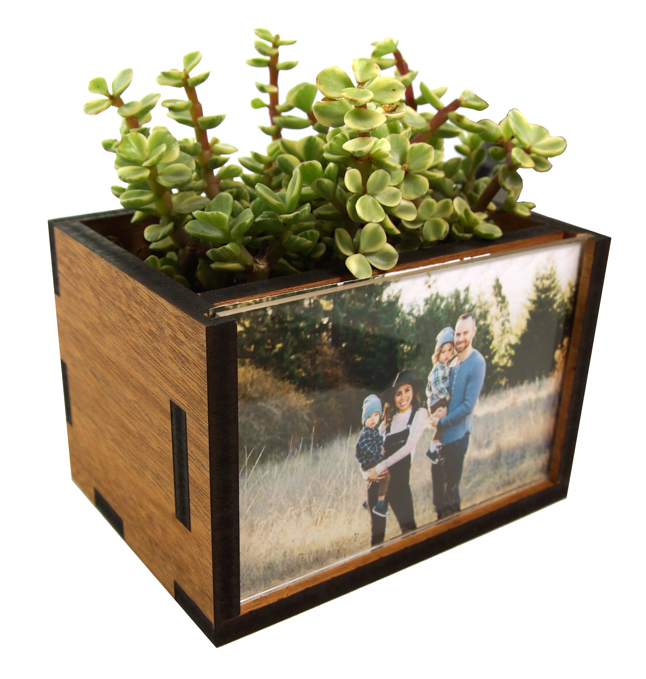 potted plant box Rectangle Picture Frame Desktop Planter Walnut