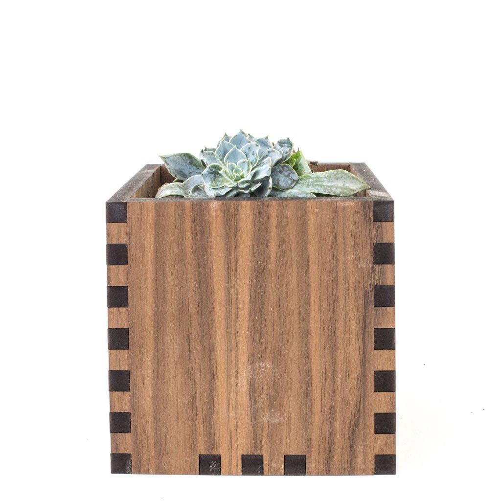 Square Desktop Planter - Woodchuck USA