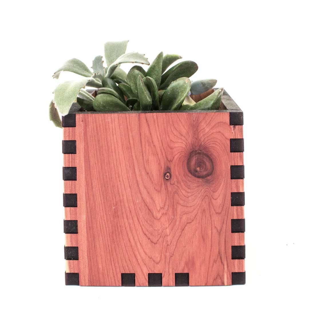 desktop succulent planter Square Desktop Planter Cedar