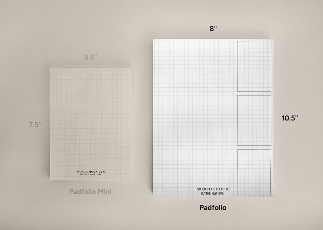 Padfolio Paper Pack - 3 Pack