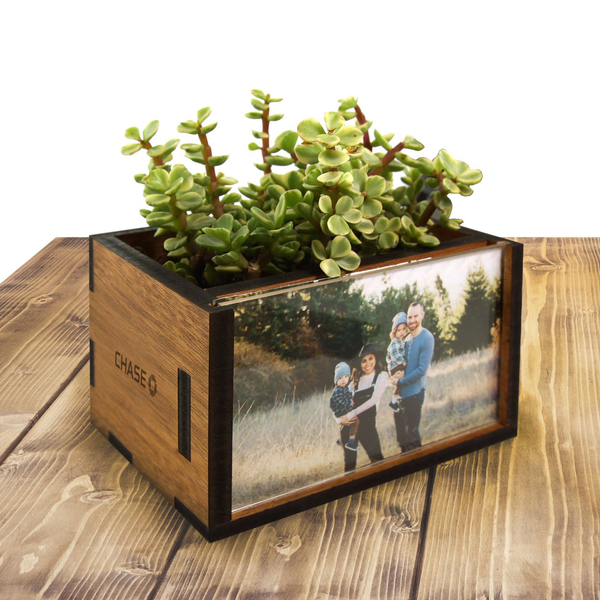 succulent frame box Rectangle Picture Frame Desktop Planter with Corporate Logo – Woodchuck USA