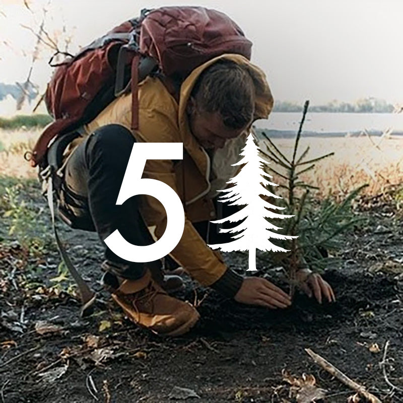 Plant 5 Extra Trees