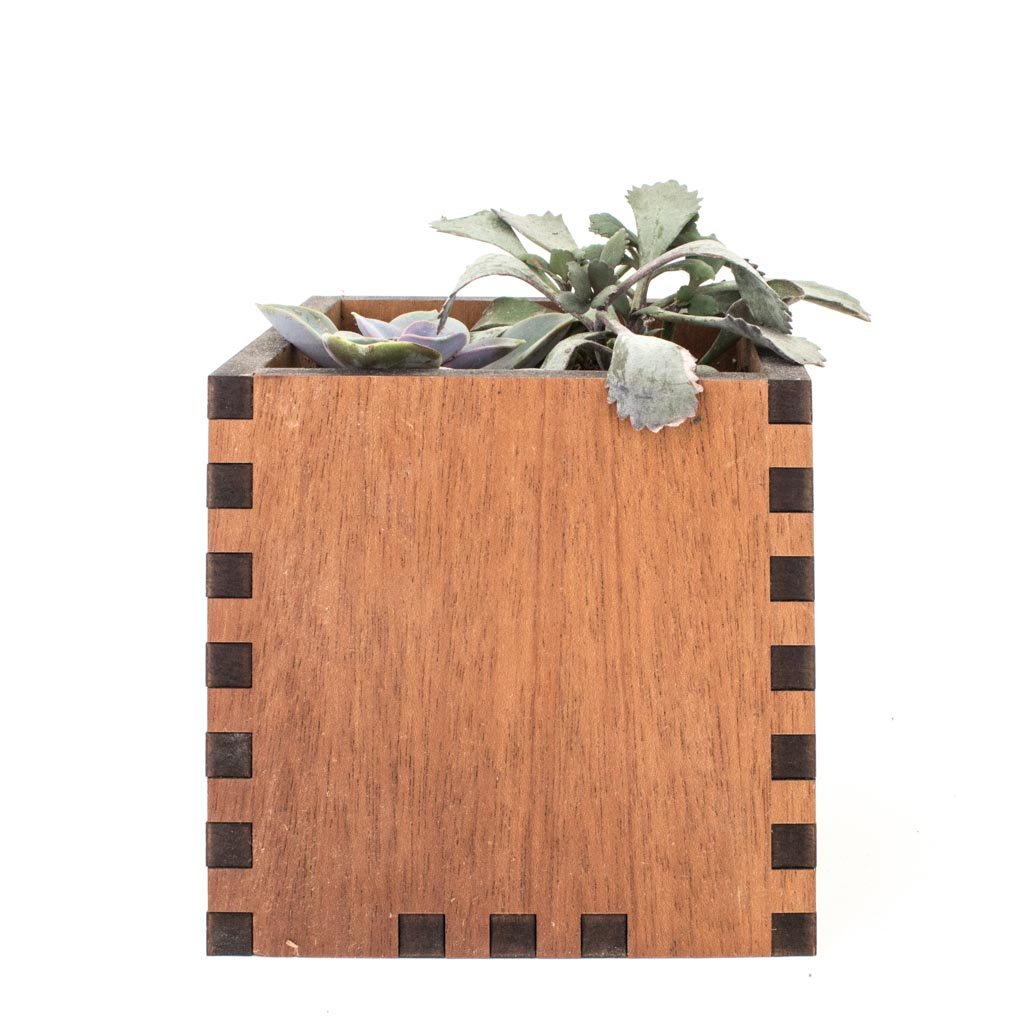 Square Desktop Planter - Woodchuck USA